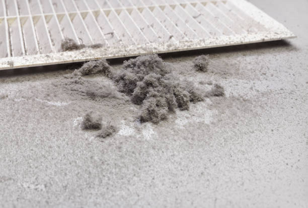 Best Air Duct Sanitizing Services  in Chalmette, LA