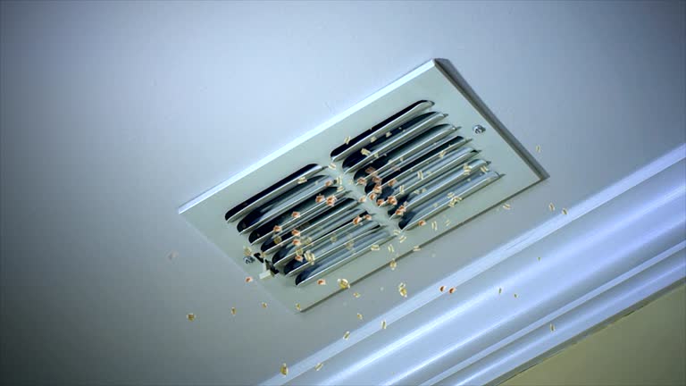 Best Best Air Duct Cleaning Company  in Chalmette, LA