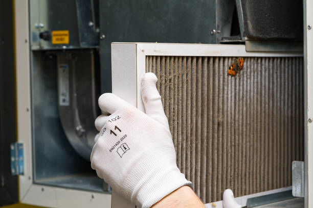 Best Air Quality Test  in Chalmette, LA