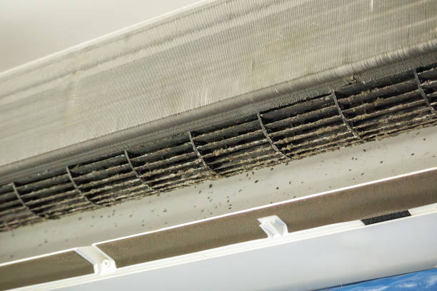 Best Emergency Air Duct Cleaning  in Chalmette, LA